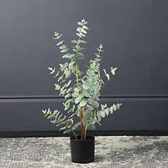 Artificial/Faux Eucalyptus Tree
