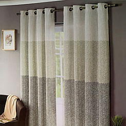 Ash Leaf Pair of Unlined Eyelet Curtains by Sandown & Bourne