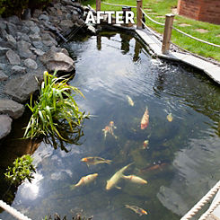 Blooming Fast Pond Clear Pro - for 10,000 Litre Ponds by You Garden