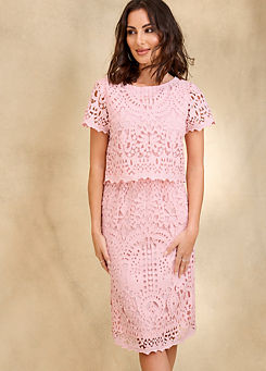 Blush Lace Shift Dress by Together