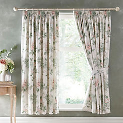 Campion Pair of Lined Pencil Pleat Curtains by Appletree