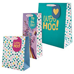 Celebration Set of 3 Gift Bags by Hallmark