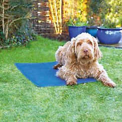 Chillax Cooling Mat Large by Rosewood