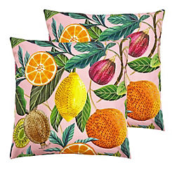 Citrus Outdoor Cushion Multi - Pack of 2 by Evans Lichfield