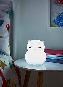 Colour Changing LED Silicone Owl Night Light by Glow