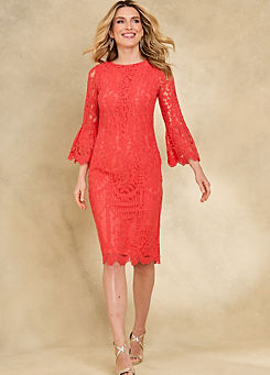 Coral Lace Fluted Sleeve Shift Dress by Kaleidoscope
