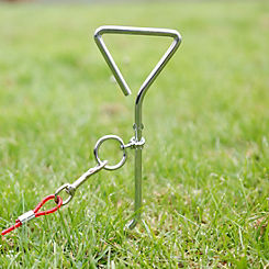 Dog Anchor with Tether by Streetwize