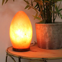 Egg Shaped Rock Salt Lamp with Wooden Base by Hestia