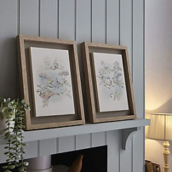 Elderwood Set of 2 Floral & Birds Framed Floating Canvases by Laura Ashley