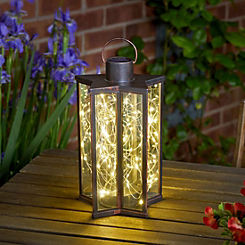 Firefly Star Lantern by Smart Garden