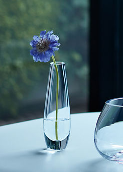 Flower Single Stem Vase - Clear by LSA