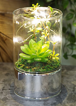 Glass Tube Terrarium with Artificial Succulents & LEDs 15 cm by Hestia