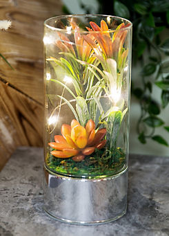 Glass Tube Terrarium with Artificial Succulents & LEDs 20 cm by Hestia