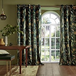 Glasshouse Pair Of Lined Eyelet Curtains by Graham & Brown