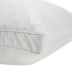 Goose Feather & Down Box Pillow by Downland