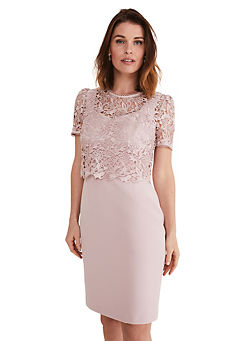 Isabella Lace Dress by Phase Eight