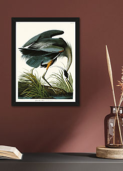 John James Audubon Great Blue Heron Framed Print by The Art Group