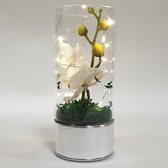 LED Light Up Glass Tube Vase with Artificial Grey Orchids by Hestia
