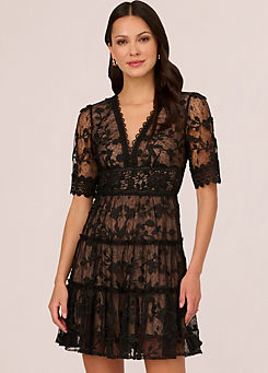 Lace Embroidery Dress by Adrianna Papell