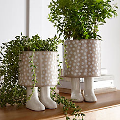 Large Keele Planter With Feet by Chic Living
