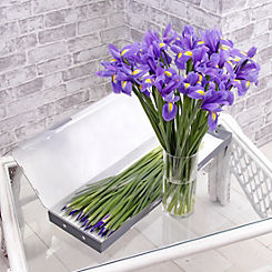 Letterbox Gift Iris Fresh Flower Bouquet with Personalised Gift Card