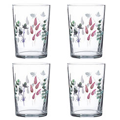 Meadow Set of 4 Glass Tumblers 52cl by Ravenhead
