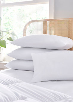 Medium Support Pack of 4 Pillows by Freemans Home
