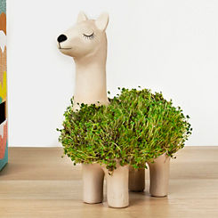 Novelty Llama Planter with Seeds by Gift Republic