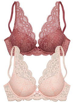 Pack of 2 Push-Up Lace Bras by Petite Fleur