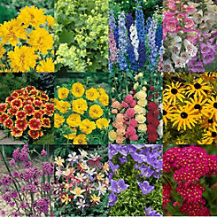 Pack of 24 Complete Hardy Garden Perennial Collection by You Garden