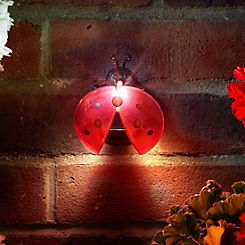 Pack of 4 Solar Powered LED Wall Hanging Ladybird Lights by Smart Garden