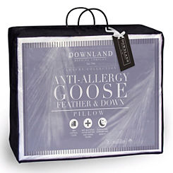 Pair of Goose Feather & Down Anti Allergy Pillows by Downland