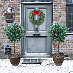 Pair of Standard Holly Trees with Gold Planters