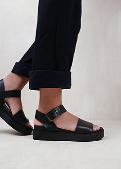 Phoenix Black Extra Wide Fit Buckle Flat Sandals by Where’s That From