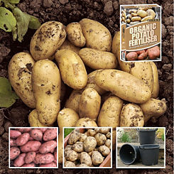 Potato Grow Kit - 3 Varieties by You Garden