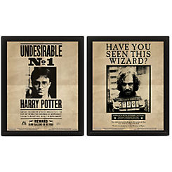 Potter/Sirius 3D Lenticular Framed Print by Harry Potter
