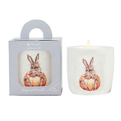 Pumpkin Patch Fragranced Candle by Wrendale Designs