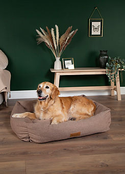 Seattle Dog/Cat Box Bed - Brown by Scruffs