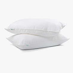 Set of 2 5 Star Hotel Pillows by Kally Sleep