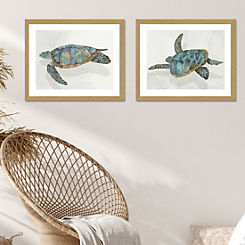 Set of 2 Coral Reef Turtle I & II Framed Prints by The Art Group