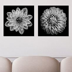 Set of 2 Dahlia & Marigold Canvases by The Art Group