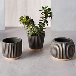 Set of 3 Small Japandi Planters by Sass & Belle