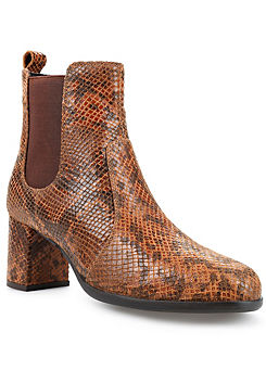 Snake Heeled Ankle Boots by Kaleidoscope