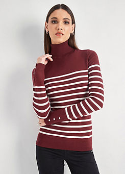 Stripe Turtleneck Knitted Jumper by Hechter Paris