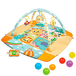 Travel Fun Deluxe Gym by WinFun
