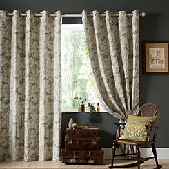 Wild Chervil Pair of Lined Eyelet Curtains by Clarissa Hulse
