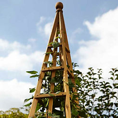 Woodland Obelisk by Smart Garden