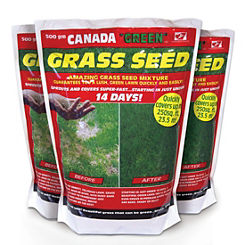 ’Green’ Grass Seed 500g by Canada