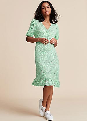 Freemans ladies dresses best sale