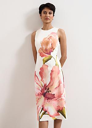 Shop for Phase Eight | Dresses | Womens | online at Lookagain Shop for Phase Eight | Dresses | Womens | online at Lookagain